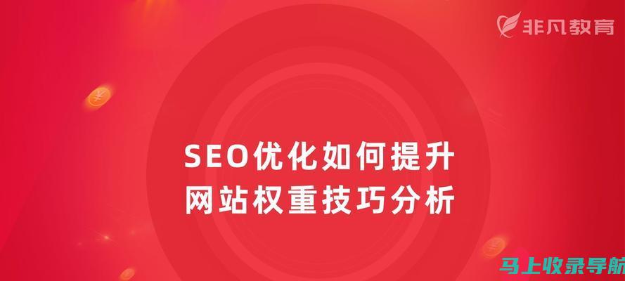 SEO网站推广实战指南：如何利用分析工具进行精准优化